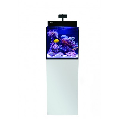 Aquarium Equipé Max Nano Cube