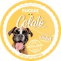 Glace pour Chien - FidOVet
