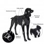 Harnais de Visibilité Nocturne pour Chien - PAIKKA