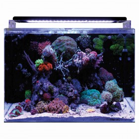 Aquarium Marin Blue Marine 120 Aquadistri