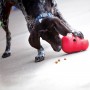 Jouet à Friandises Wobbler pour Chien - KONG