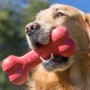 Jouet Os à Friandises pour Chien - Goodie Bone KONG
