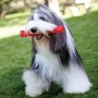 Jouet Bâton à Lancer pour Chien - Squeezz KONG