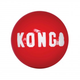 Lot de 2 Balles Rebondissantes pour Chien - KONG