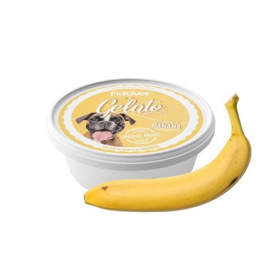 Glace pour Chien - FidOVet