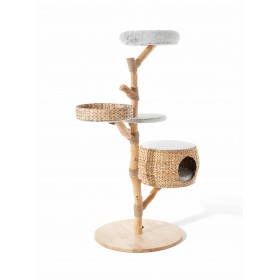 Arbre à Chat 'Scott' | Katzy