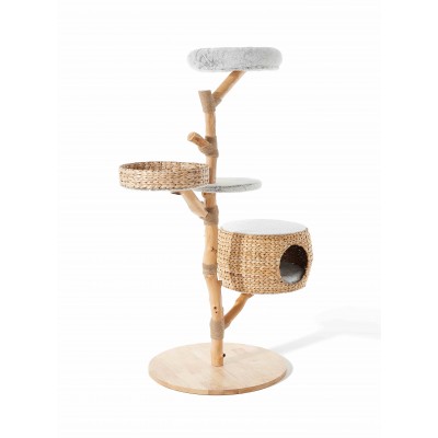 Arbre à Chat 'Scott' | Katzy