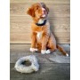 Anneau à mâcher Nature play pour Chien - Jouet en laine Corwex