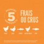 Croquettes Volaille & Poisson pour Chat - Orijen Original Cat