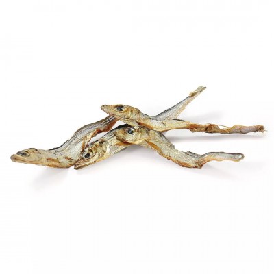 Friandise Chien et Chat 'Sprats Déshydratés' | Perro