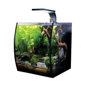 HP Aquarium AQUARIUM VOGUE, TOUT ÉQUIPÉ VOG20AE