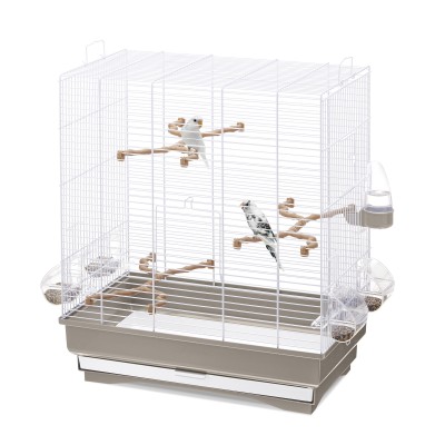 Cage Carlotta pour Oiseaux