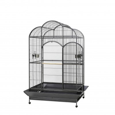 Volière Jupiter pour Oiseaux Hyacinth