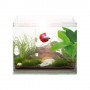 Aquarium pour Débutant 'Cuve Vision RC' | HP Aquarium - 12 Litres