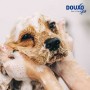 Shampoing Chien Anti-Démangeaison 'Skin & Coat Spa' | Douxo - Mousse