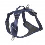 Harnais de Promenade pour Chien 'Momentum XS' | Kyflie - Couleur Bleu