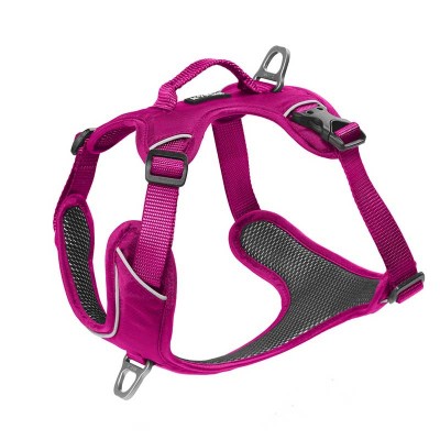 Harnais de Promenade pour Chien 'Momentum XS' | Kyflie - Couleur Rose
