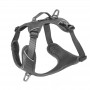 Harnais de Promenade pour Chien 'Momentum M' | Kyflie - Couleur Gris