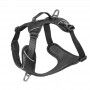 Harnais de Promenade pour Chien 'Momentum XL' | Kyflie - Couleur Noir