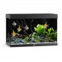 Aquarium Complet 'Rio 290 LED' | Juwel - Couleur Noir