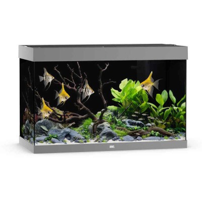 Aquarium Complet 'Rio 290 LED' | Juwel - Couleur Gris