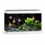 Aquarium Complet 'Rio 290 LED' | Juwel - Couleur Blanc