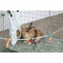 Parc pour Lapin 'Neopark Rabbit Neolife' | Zolux - Accessoires