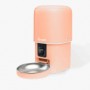 Distributeur de Croquettes Intelligent pour Chat | Bandit - Couleur Pêche