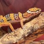 Adoption de Reptile 'Gecko Léopard' | Nilufar