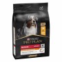 Croquette Chien 'Pro Plan Medium Adult Everyday Nutrition' | Purina