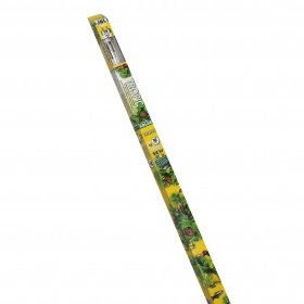 JBL Néon JBL SOLAR TROPIC T8 6161600