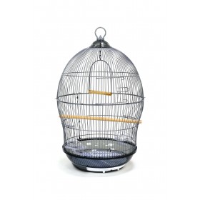 Hyacinth CAGE RÉTRO 370