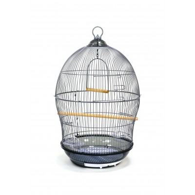 Hyacinth CAGE RÉTRO 370
