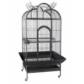 Hyacinth Volière Pagode Hyacinth A23