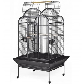 Hyacinth Volière A24 Hyacinth A24