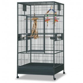 Wagner Volière Arkansas I Hyacinth K39151