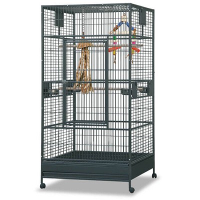 Wagner Volière Arkansas I Hyacinth K39151