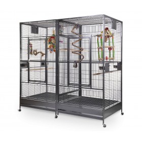 Wagner Volière Arkansas II Hyacinth K39256