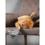 Canadian Cat Coussin Mini Pyramides Calins Canadian Cat C11330