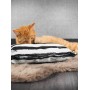 Canadian Cat Coussin Mini Pyramides Calins Canadian Cat C11330