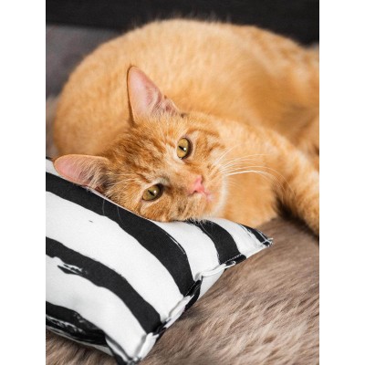 Canadian Cat Coussin Play pillow XXL Canadian Cat C11380