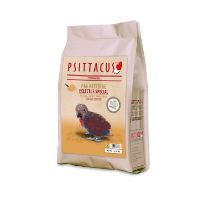 Psittacus Catalonia Psittacus - Eclectus Special Hand-Feeding PA-3650