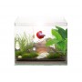 HP Aquarium Cuve Vision RC 12 L RC-310