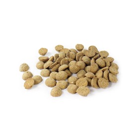 Perro Biscuits Perro - Agneau 15080