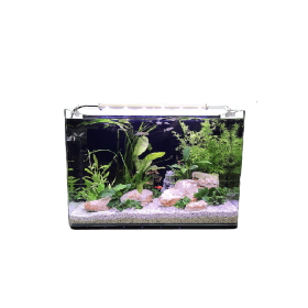 HP Aquarium Aquarium Néophyte 60 NIROX600NF