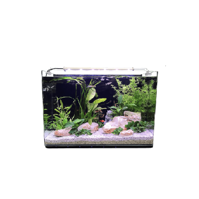 HP Aquarium Aquarium Néophyte 60 NIROX600NF