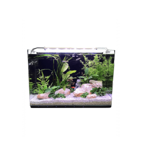 HP Aquarium Aquarium Néophyte 80 NIROX8040