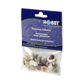 Hobby Coquillages Hobby Sea Shells Set 40221