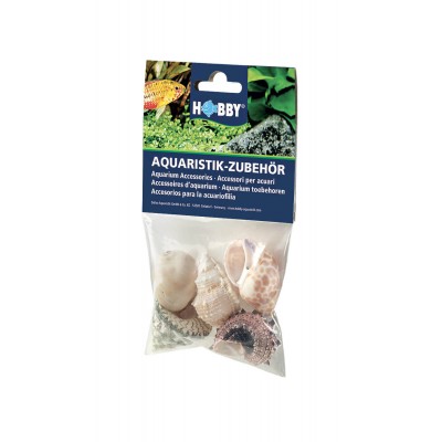 Hobby Coquillages Hobby Sea Shells Set 40221