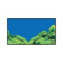 Hobby Poster Hobby Spring / Moss 31010